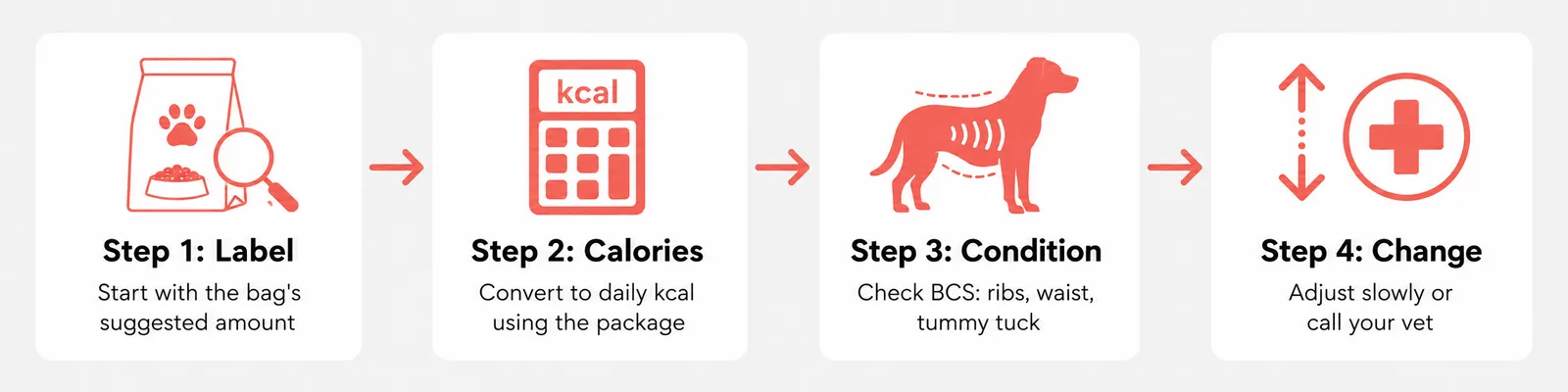 4-step dog feeding framework infographic showing Label, Calories, Condition, and Change as sequential steps with icons and brief descriptions
