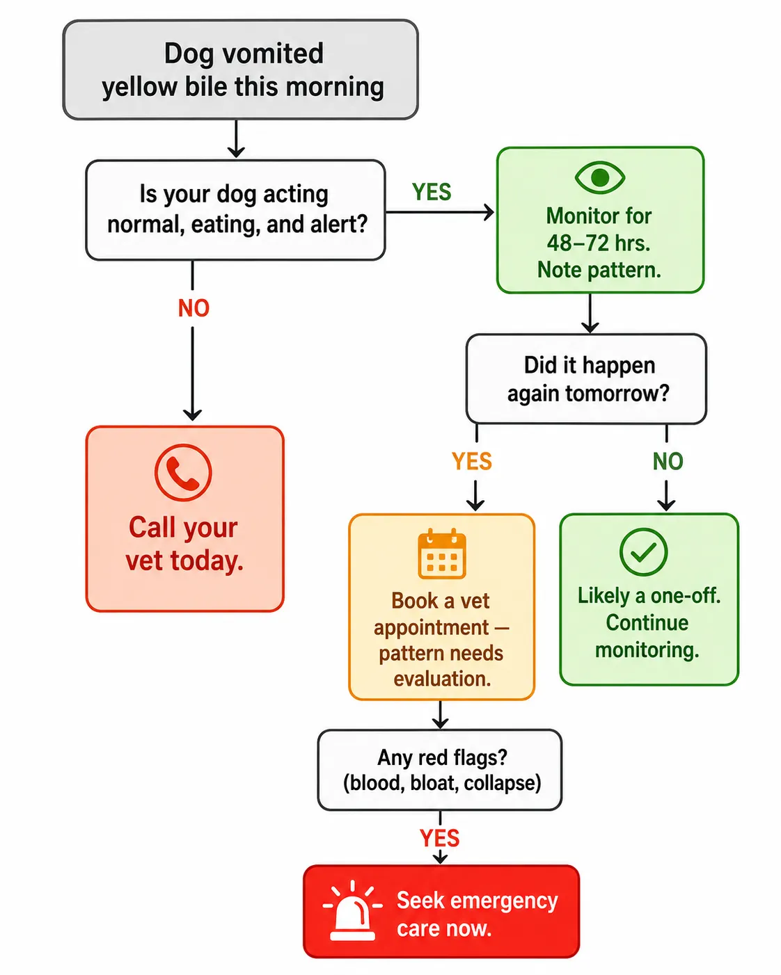 Decision flowchart for dog morning vomiting showing how to progress from a single episode to vet visit based on frequency, appetite, and red flag symptoms