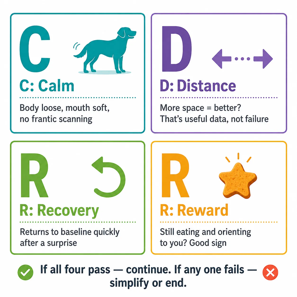 CDRR framework infographic for puppy socialization showing four checkpoints: Calm, Distance, Recovery, and Reward, with brief descriptions and pass/fail indicators
