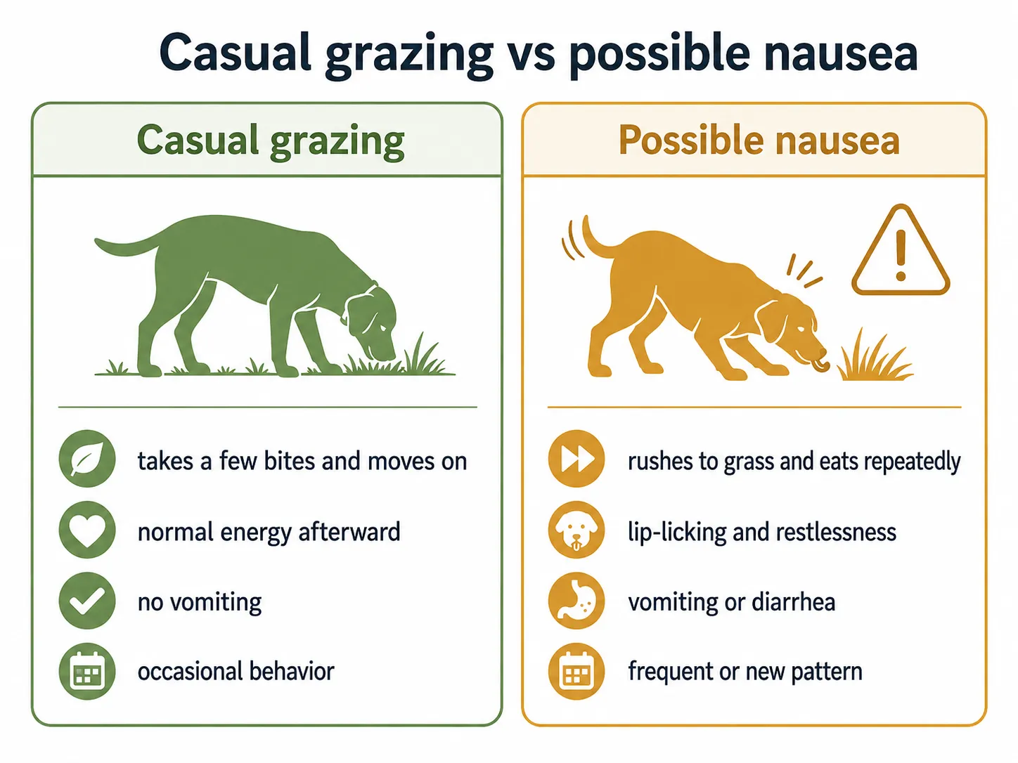 Side-by-side comparison chart showing casual grass grazing versus signs of nausea in dogs