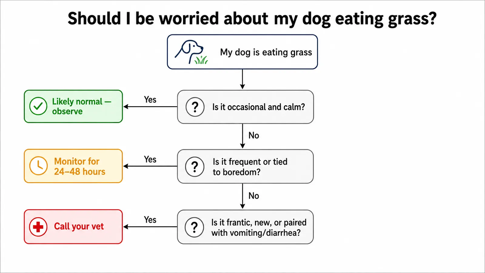 Flowchart helping dog owners decide if grass eating is normal, needs monitoring, or requires a vet call