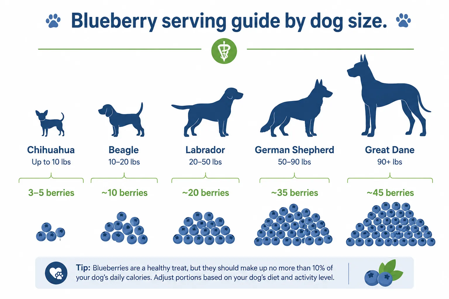 Infographic showing recommended blueberry serving sizes for five dog sizes from tiny to giant