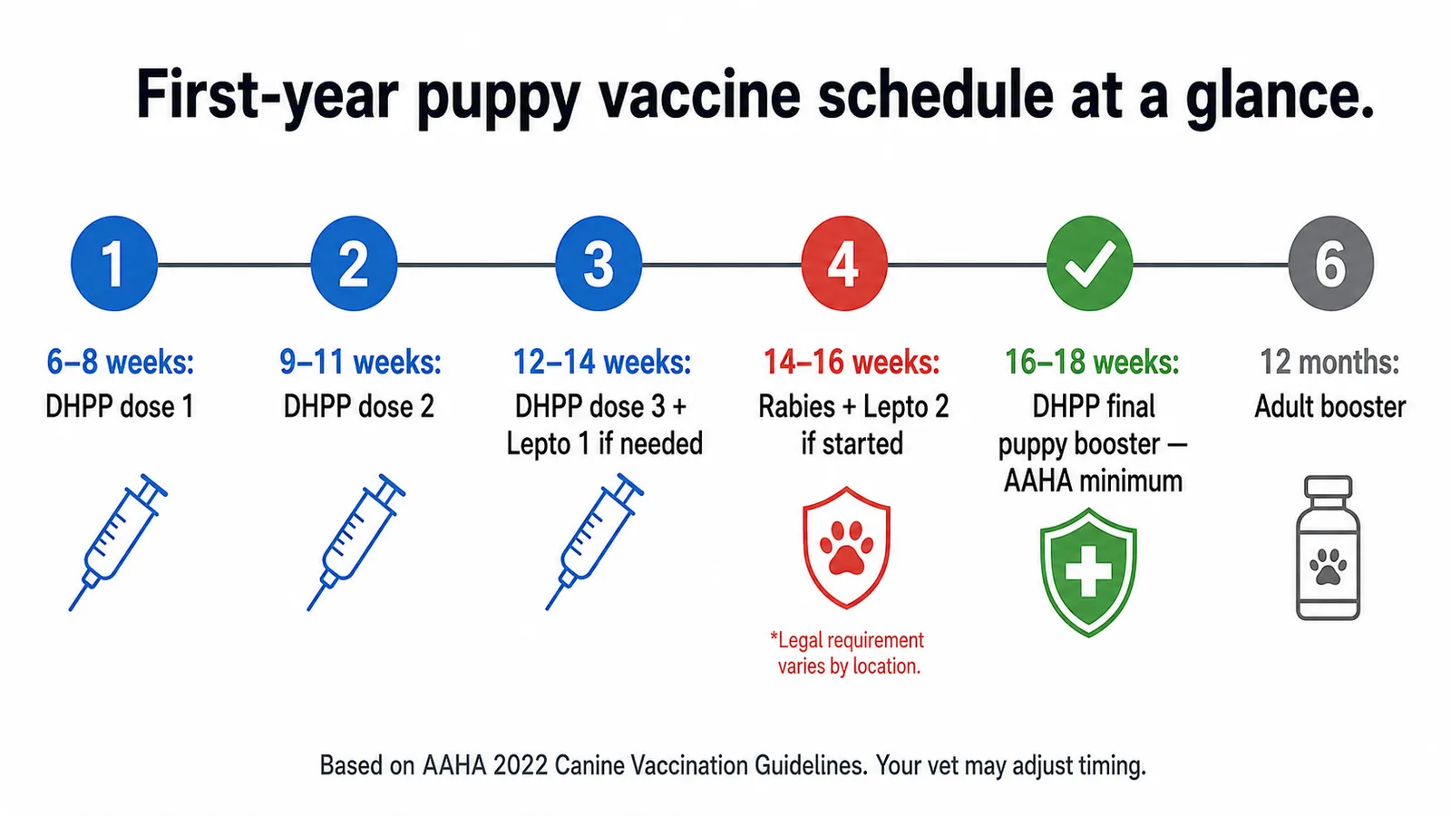 Visual timeline infographic showing puppy vaccination schedule from 6 weeks to 12 months with DHPP doses and rabies timing