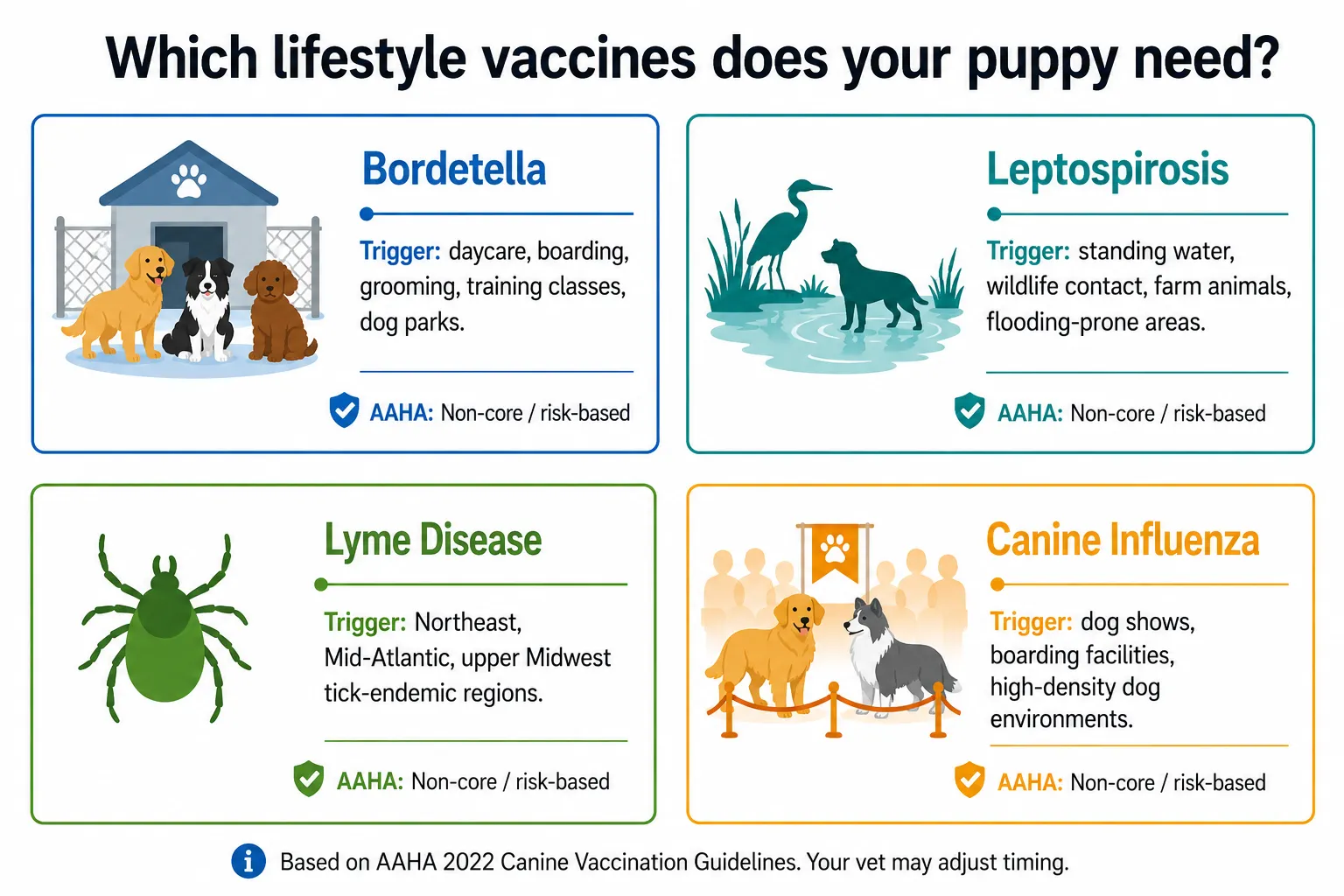 Infographic showing four lifestyle vaccine triggers for dogs: daycare for Bordetella, standing water for leptospirosis, tick habitat for Lyme, and boarding for canine influenza
