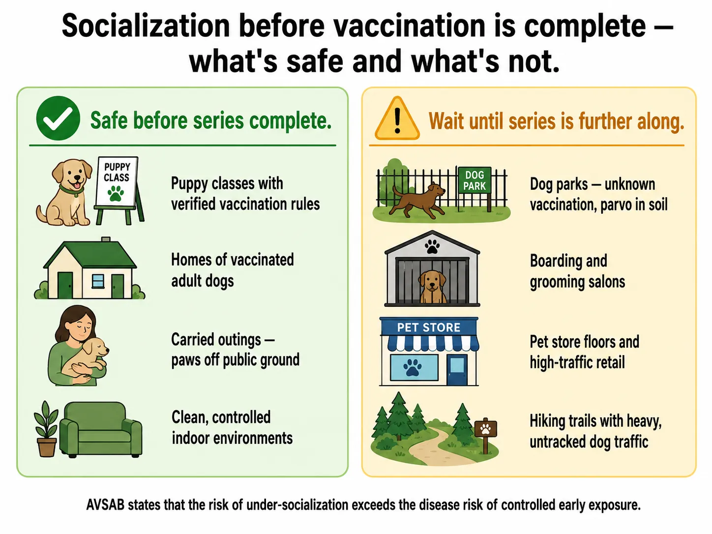 Split infographic comparing safe early socialization options for unvaccinated puppies versus high-risk environments to avoid before vaccines are complete
