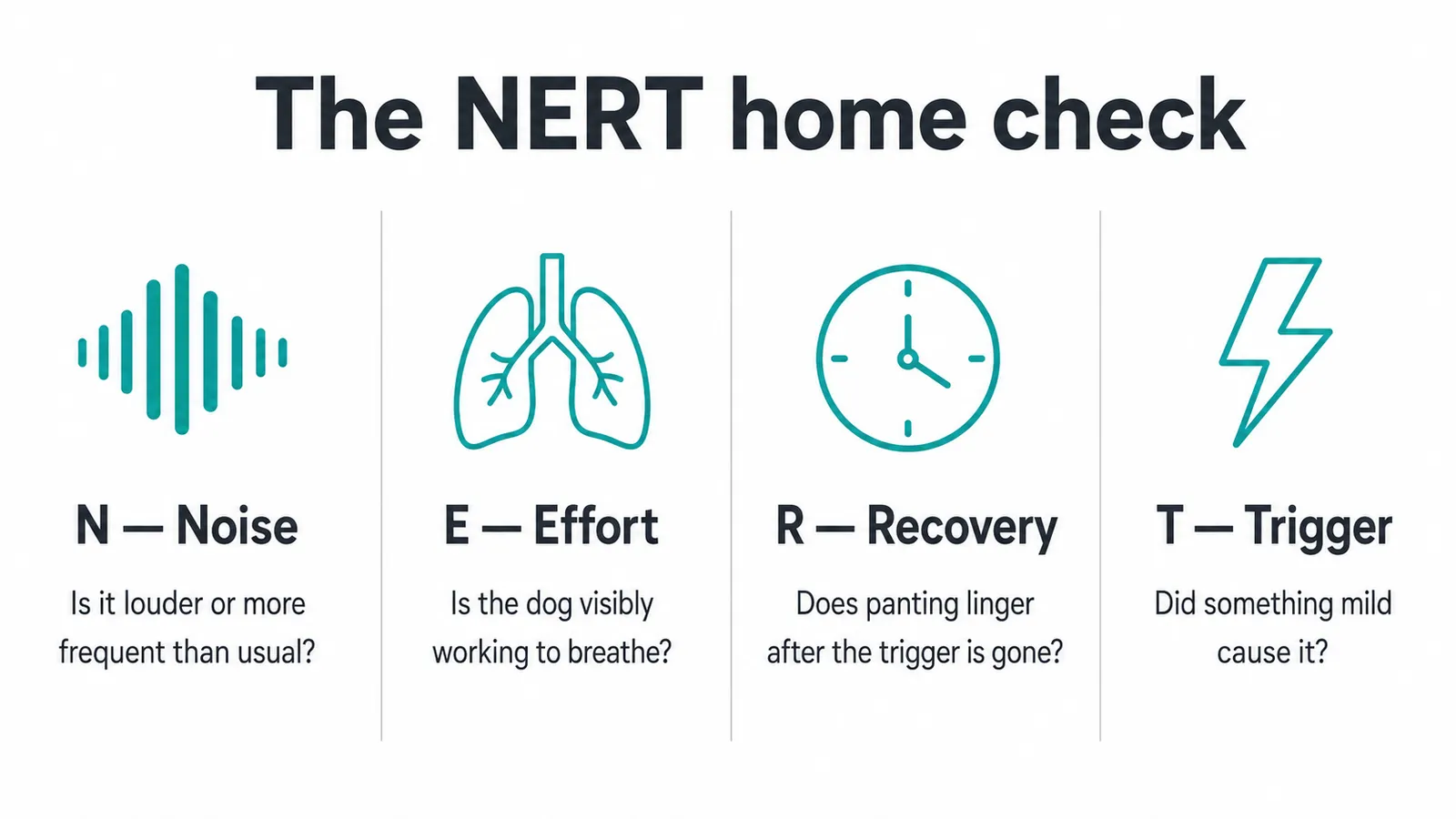 Infographic showing the NERT home observation checklist for French Bulldog breathing: four labeled icons for Noise, Effort, Recovery, and Trigger with a brief description under each
