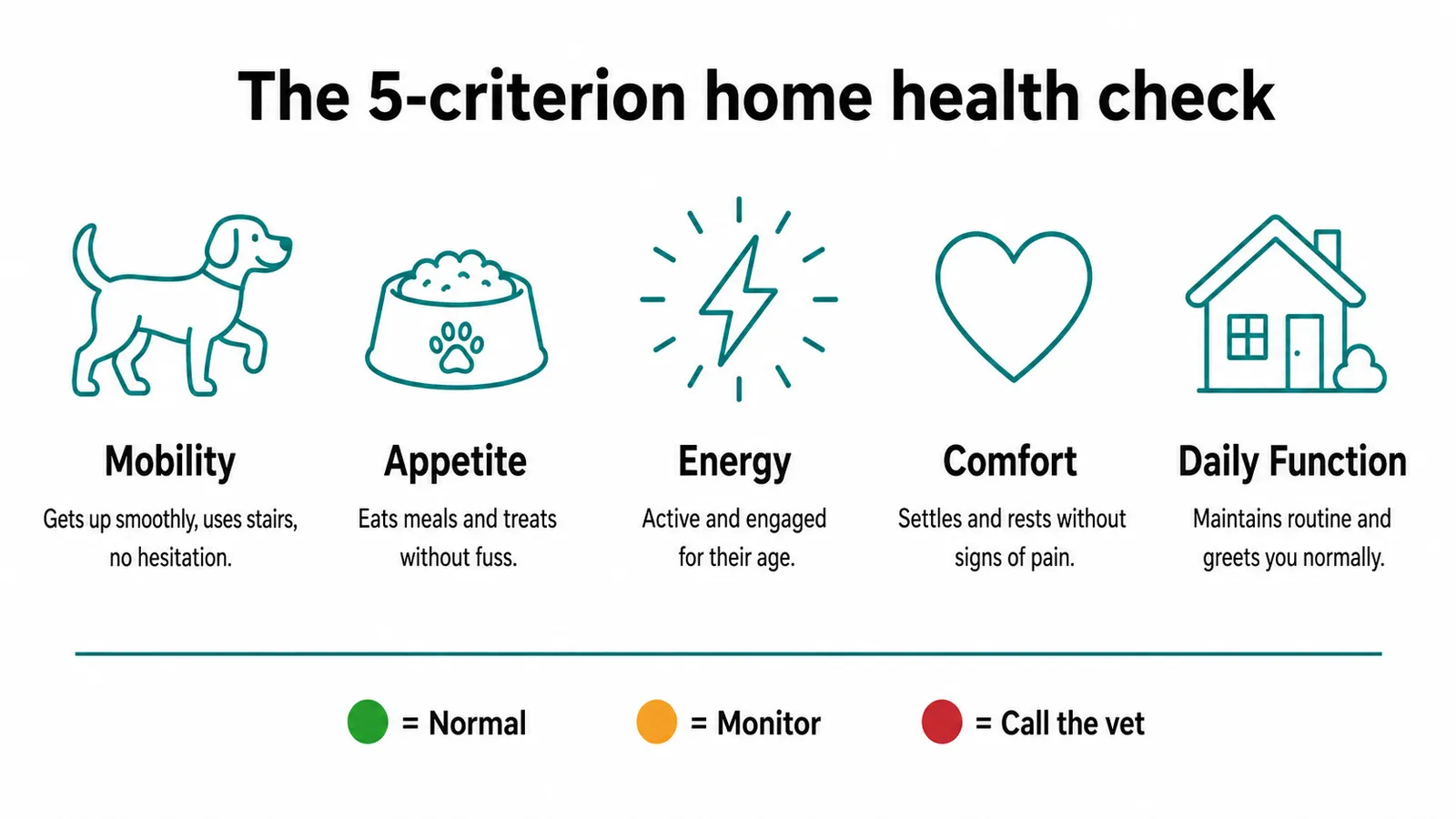 Infographic showing the 5-criterion Golden Retriever health check: Mobility, Appetite, Energy, Comfort, and Daily Function