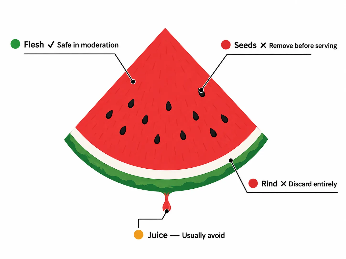 Visual diagram of a watermelon slice showing which parts are safe for dogs: flesh yes, seeds no, rind no, juice avoid