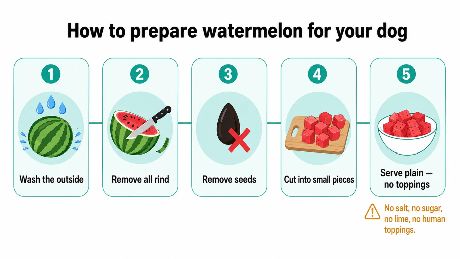 Five-step infographic showing how to safely prepare watermelon for dogs: wash, remove rind, remove seeds, cut, serve plain