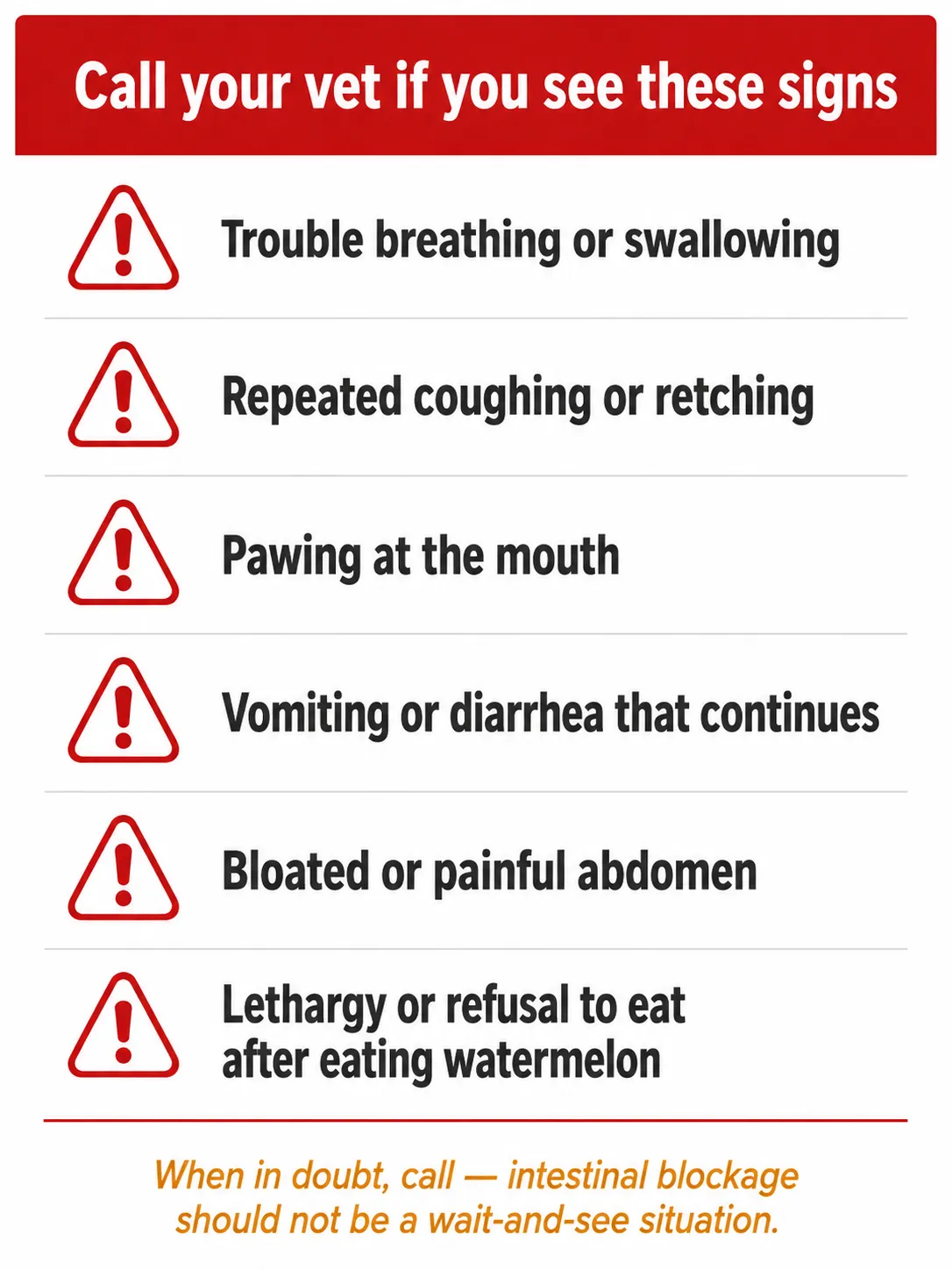 Alert infographic listing vet emergency signs after dogs eat watermelon: choking, vomiting, bloating, lethargy, and pain