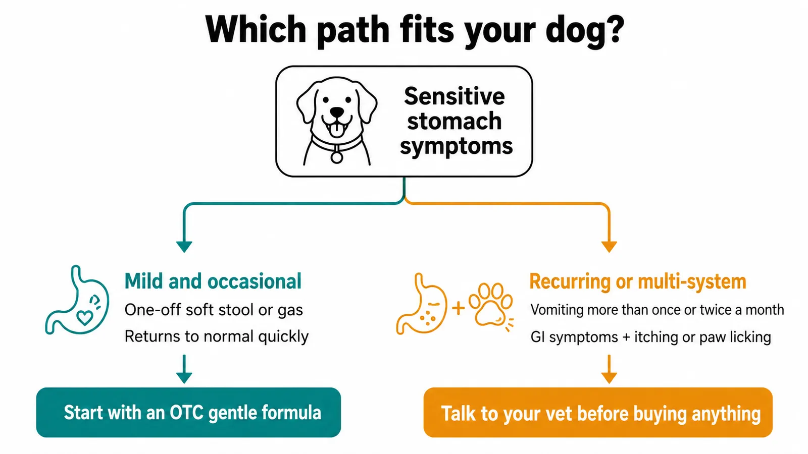 Decision diagram showing two paths for dog sensitive stomach: mild occasional upset leads to OTC food, recurring symptoms to vet