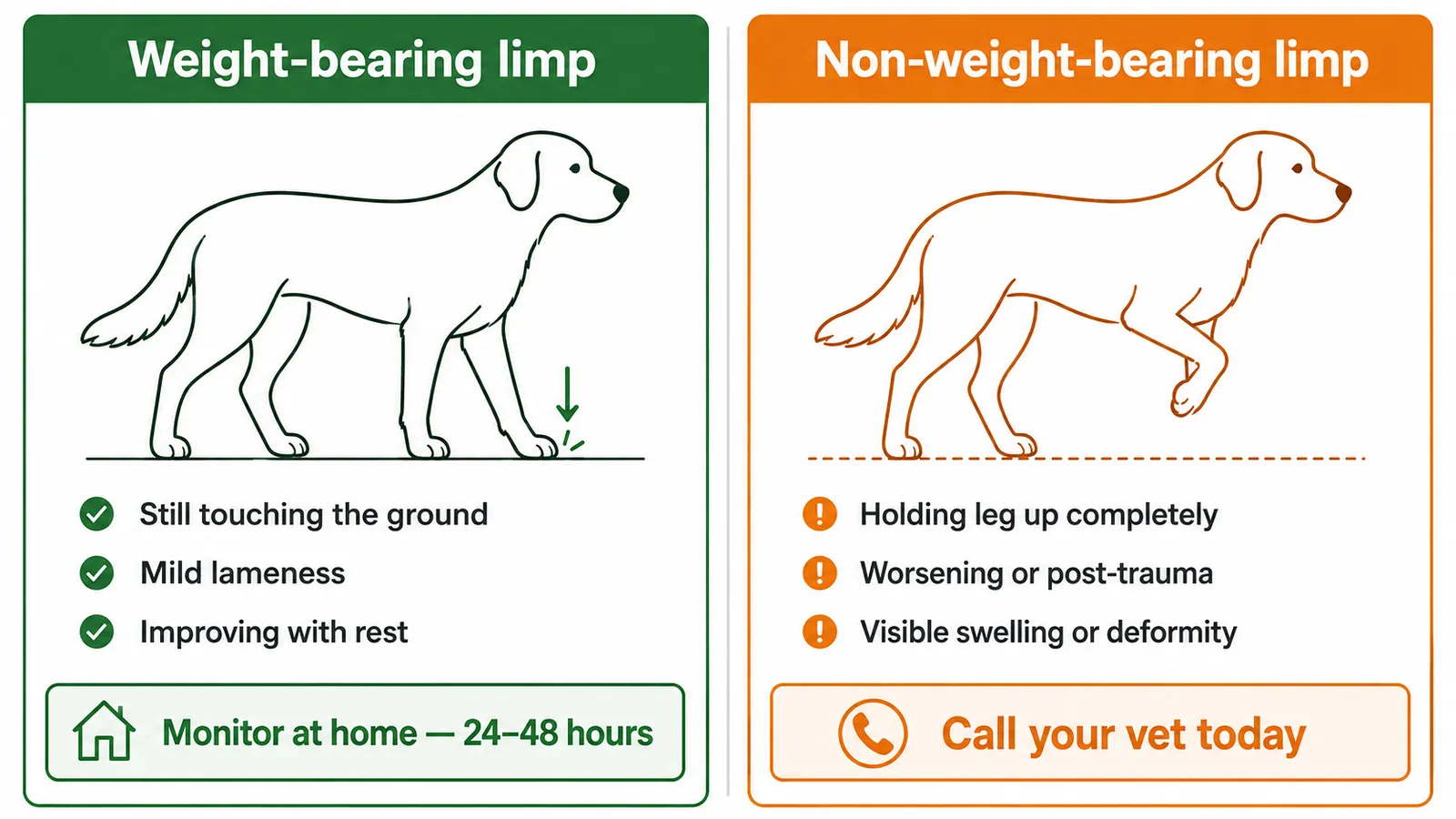 Infographic showing dog limping triage: weight-bearing limp watch at home, non-weight-bearing call vet today