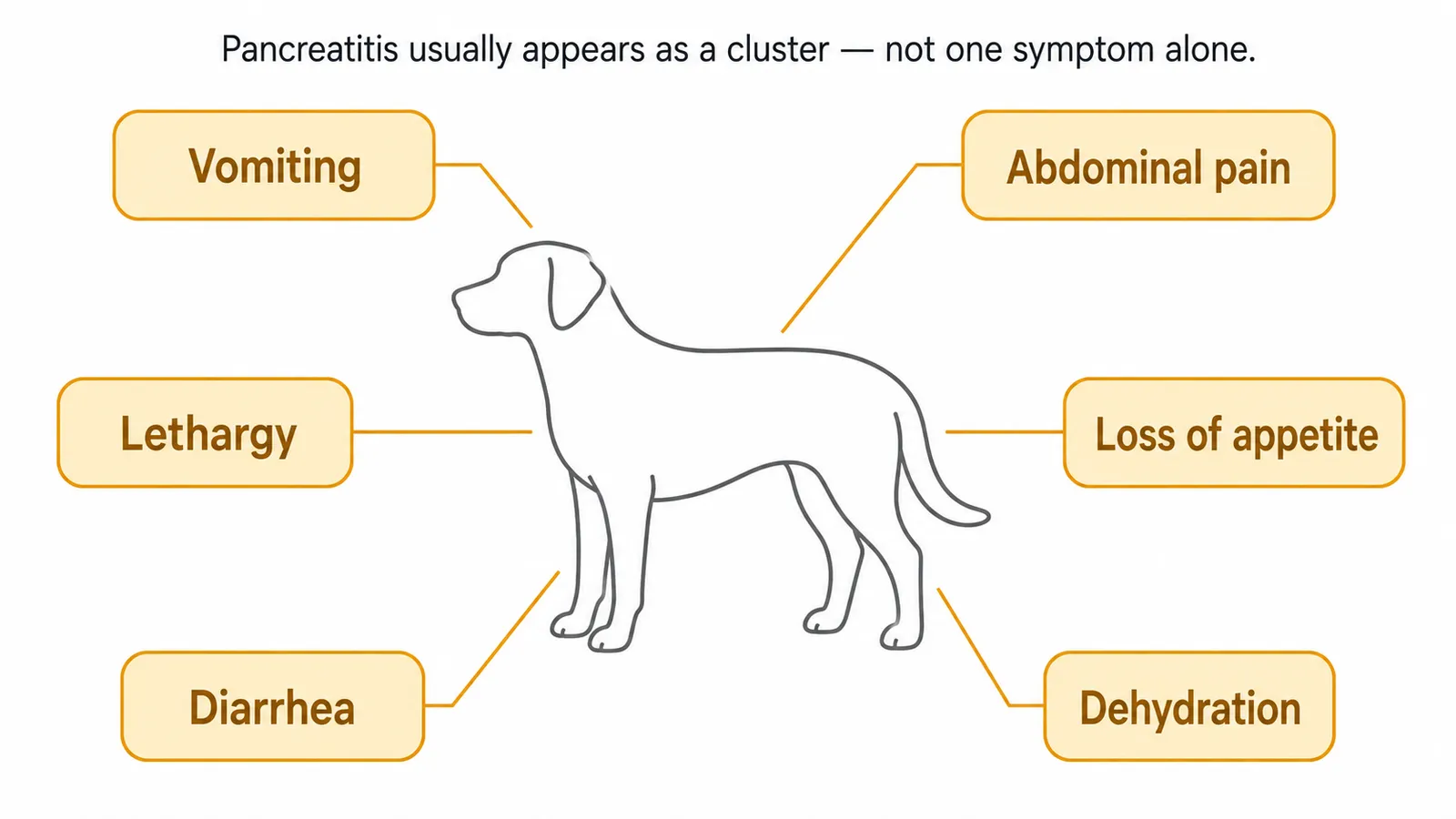 Infographic showing 6 pancreatitis symptoms in dogs: vomiting, abdominal pain, lethargy, appetite loss, diarrhea, and dehydration