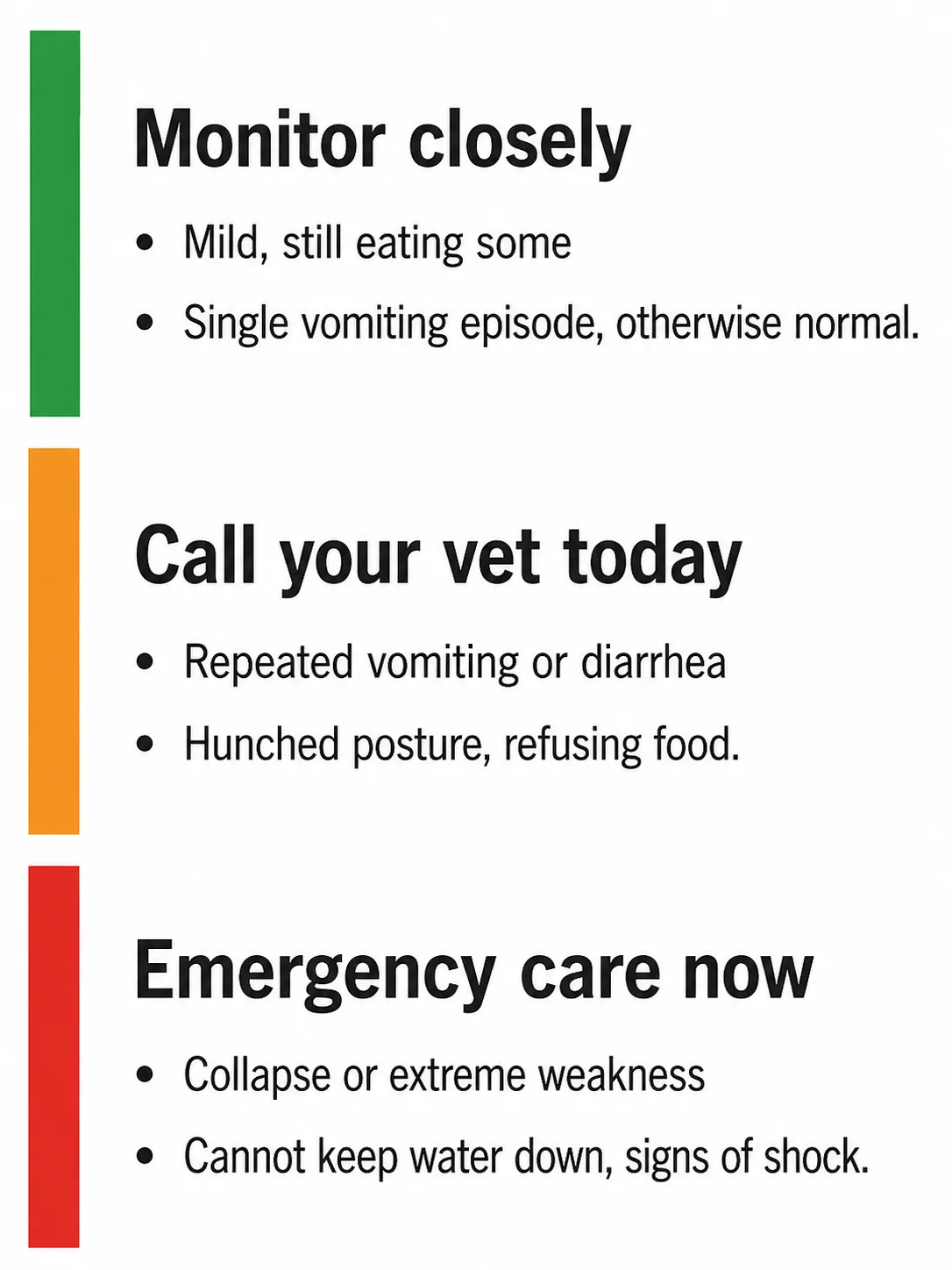 Three-level triage infographic for dog pancreatitis: monitor closely, call vet same day, or go to emergency care now
