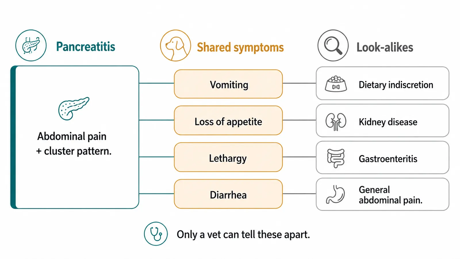Infographic comparing pancreatitis symptoms with look-alikes: dietary indiscretion, kidney disease, gastroenteritis, and other causes