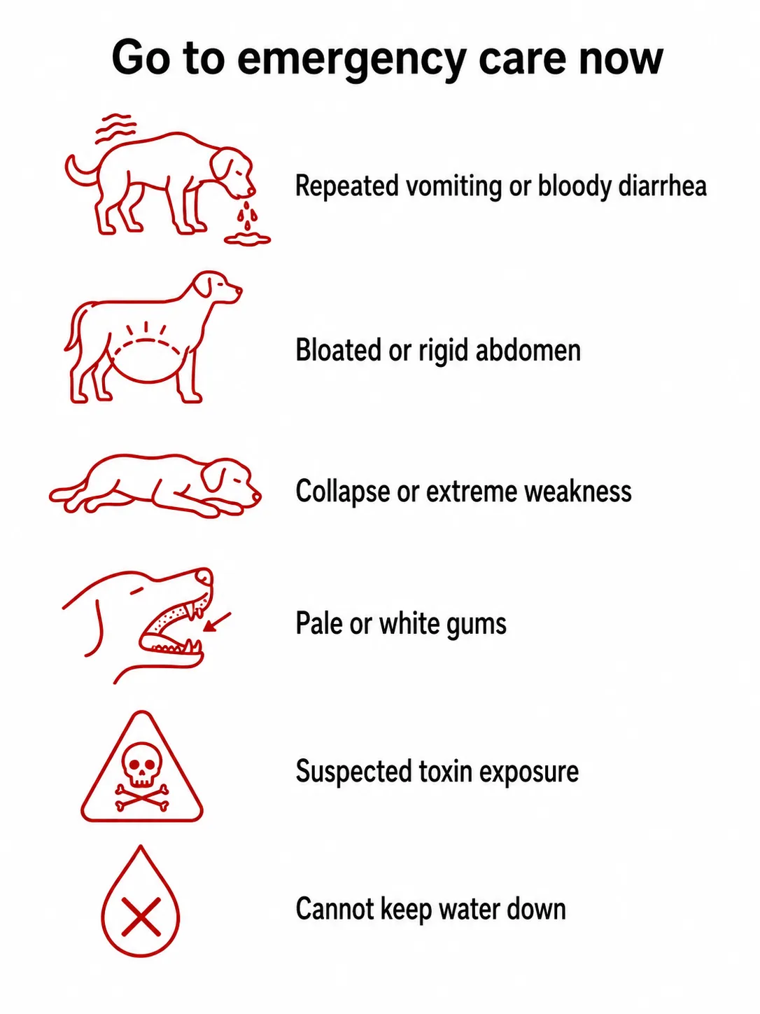 Infographic of 6 emergency signs in dogs not eating: repeated vomiting, bloating, collapse, toxin exposure, pale gums, can't keep water down