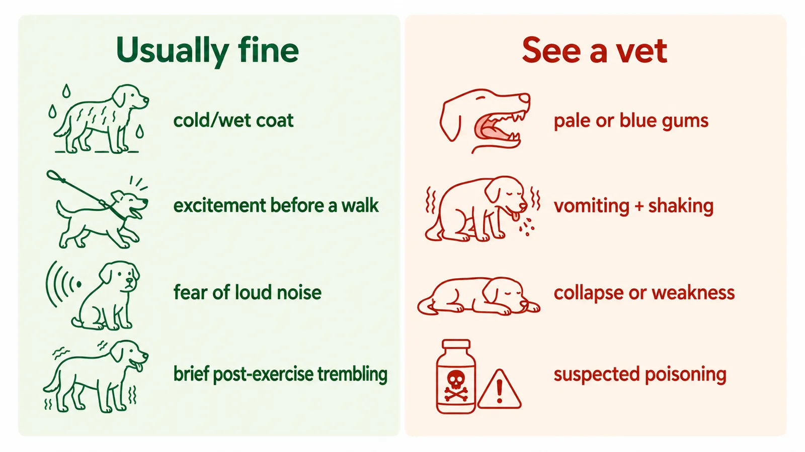 Infographic comparing harmless dog shaking signs like cold and excitement versus concerning signs like pale gums and collapse