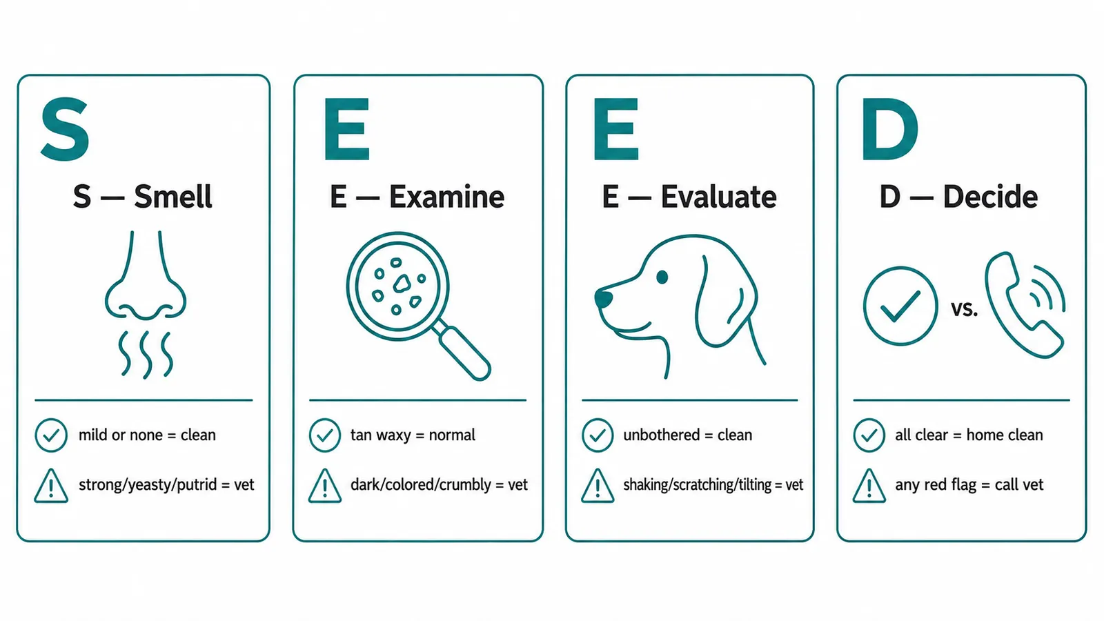 S-E-E-D infographic decision framework for dog ear care: Smell, Examine discharge, Evaluate behavior, Decide to clean or call the vet