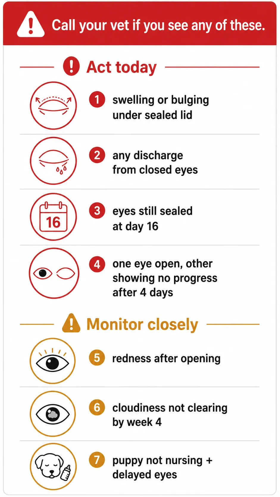 Infographic checklist of puppy eye warning signs requiring vet attention: swollen lids, discharge, no opening by day 16, redness
