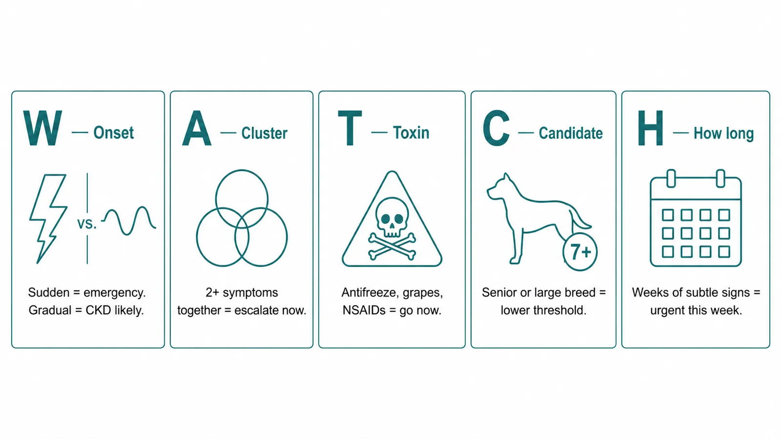 WATCH decision framework infographic for dog kidney disease: Was onset sudden, Are symptoms clustered, Toxin sign, Candidate by age, How long