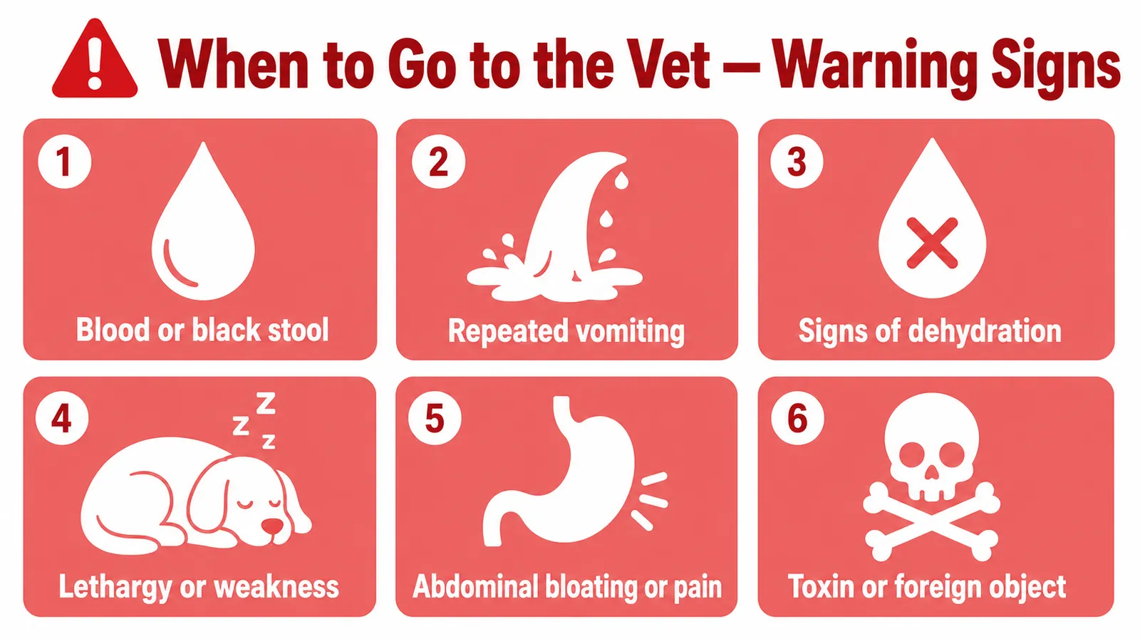 Visual checklist of puppy diarrhea emergency warning signs including blood in stool, vomiting, lethargy and dehydration with red alert icons