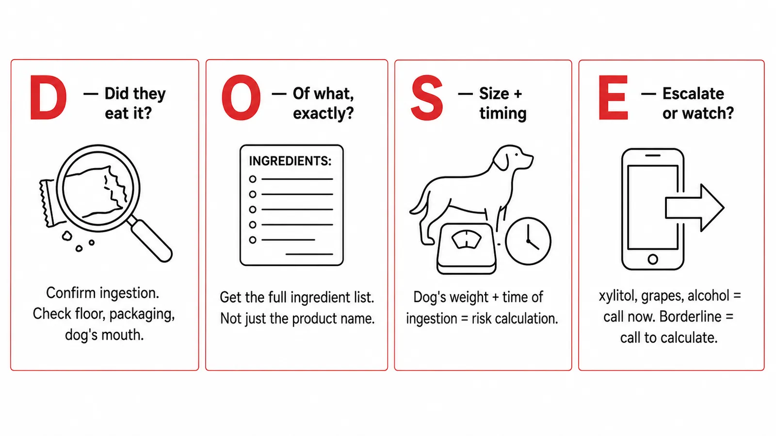 DOSE triage framework infographic for dog food poisoning: Did they eat it, Of what exactly, Size and timing, Escalate or watch