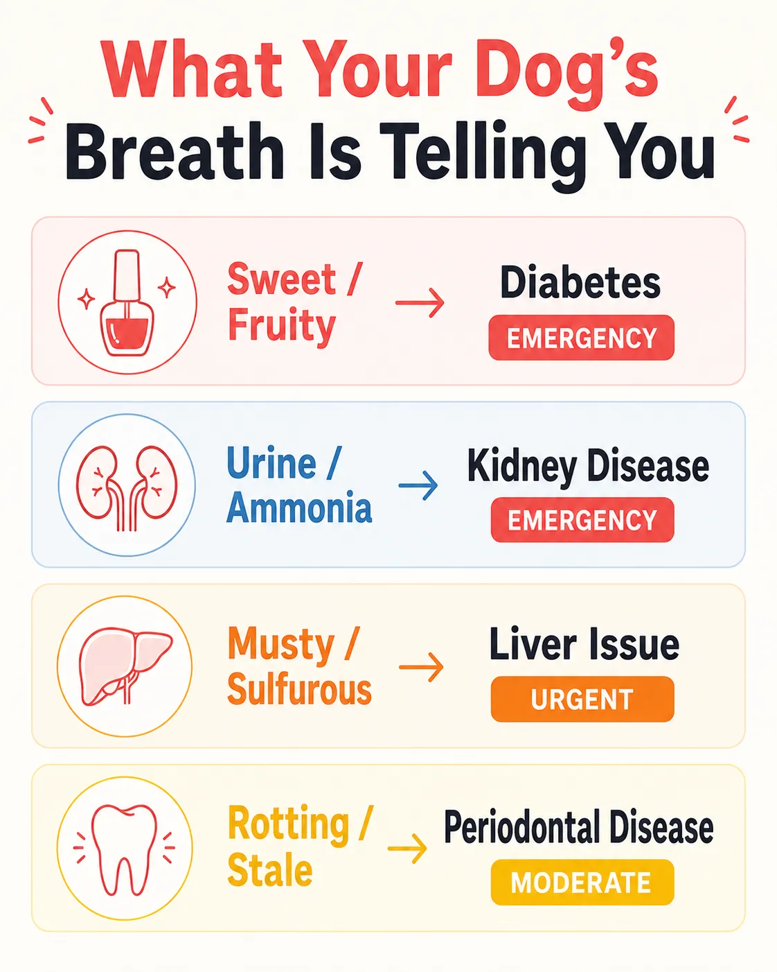 Infographic mapping four dog breath odors to causes like diabetes, kidney, liver and dental disease