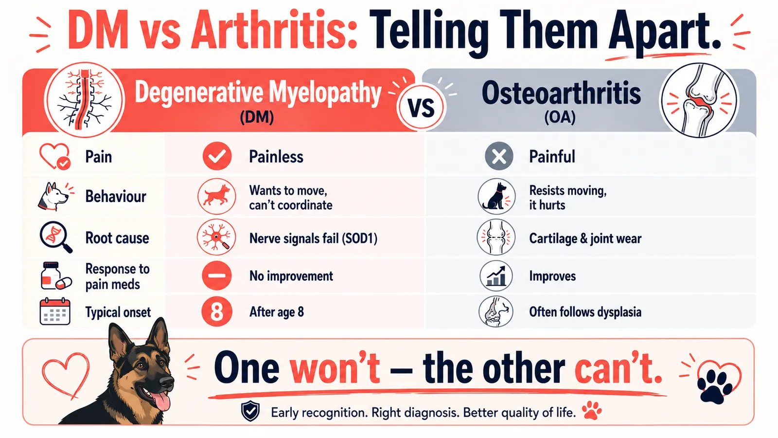 Comparison chart contrasting degenerative myelopathy and arthritis in German Shepherds by pain and movement.